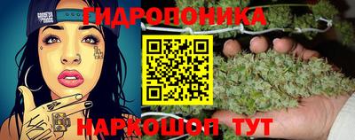 хмурый Краснодар
