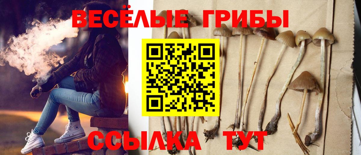 Псилоцибиновые грибы прущие грибы Гагарин