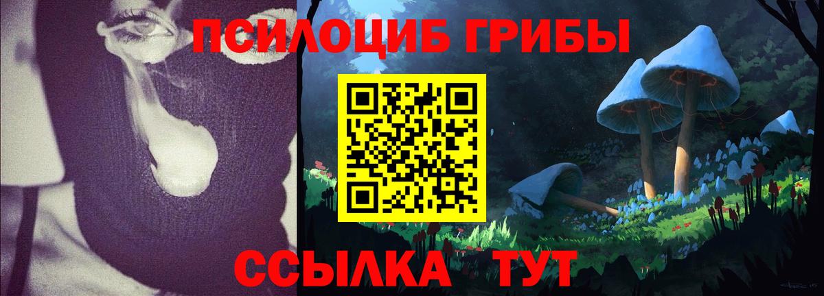 Гагарин  Псилоцибиновые грибы Cubensis  Вход с VPN 